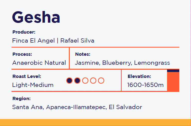 Gesha- Anaerobic Natural-El Angel