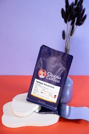 Yellow Pacamara-Washed- Los Pirineos