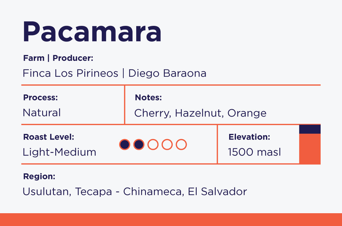 Cipota’s Choice Subscription